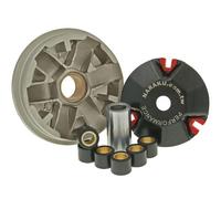 Variomatik Naraku Sport für Honda Bali 50 SJ50 AF32