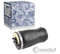 VEMO LUFTFEDER LUFTBALG HINTERACHSE LINKS passend für BMW X5 | V20-50-0003-1