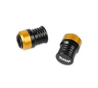 Ventileinsatzkappen Universal Motorrad CNC Zubehör Rad Reifen Ventil Stem Caps Luftdichte Abdeckung Für BMW R1200R R1200RS R1200RT R1200 S/SE/ST 2021(Gold)