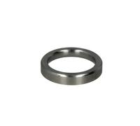 Ventilsitzring DT Spare Parts 2.10594