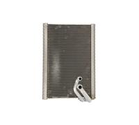 Verdampfer, Klimaanlage DENSO DEV21003