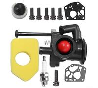 Vergaser 795477 Kit für 795469 794147 Stahl