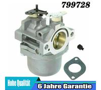 Briggs & Stratton 799728 Vergaser