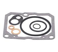 Carburetor Dichtsatz Vergaser Dichtungssatz Dellorto für VHSA, VHSH Vergaser Peu