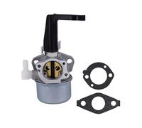 Vergaser Für Briggs & Für Stratton 696065 697422 110402 110412 215369 Vergaser Für Bodenfräsenmotor Mit Montagedichtungssatz Luftfilter(Set 1)
