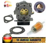 Vergaser für Briggs & Stratton 693480 499306 495181 495026 491429 Zündkerze