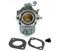 Vergaser für Briggs & Stratton 698171 697594 Mower Engine