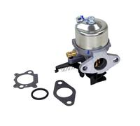 VERGASER FÜR BRIGGS&STRATTON 700 750 DOV MÄHER