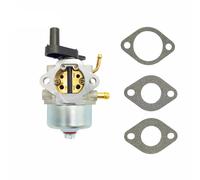 Vergaser für Briggs & Stratton 801396 801233 255 2-Takt 38584 Schneefräse