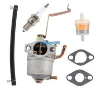 Vergaser kit für Matrix D-PG1000 Scheppach SG950 Einhell PT-BG850 Stromerzeuger