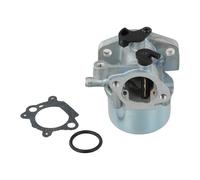 Vergaser-Kit Metallkonstruktion, kompatibel mit Briggs & Stratton Modellen 796707 794304 799866, inklusive Dichtung und O-Ring