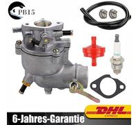 Vergaser Kraftstofffilter für Briggs & Stratton 394228 390323 Horizontalmotoren