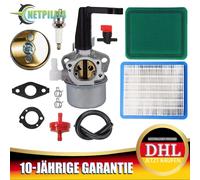 Vergaser Kraftstofffilter Zündkerze Kit für Briggs & Stratton 110402-0206-E1 DE
