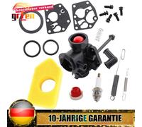 Vergaser Luftfilter für Briggs & Stratton 795083 495770 272372 281028 Zündkerze