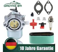 Vergaser Luftfilter Zündkerze für Briggs Stratton 286702 286707 289702 289707