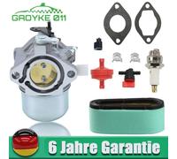 Vergaser Luftfilter Zündkerze für Briggs Stratton 289707 286702 286707 289702