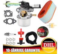 Vergaser Luftfilter Zündkerze Kit für Briggs & Stratton 11P02 111P05 591137 DE