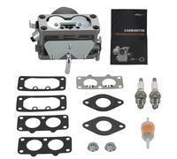 Vergaser mit Dichtungen for Briggs & Stratton Aftermarket 791230, 699709, 49980