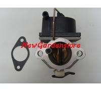 Vergaser Motor Aufsitzmäher Rasenmäher OHV Einzylinder für Tecumseh