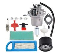 Vergaser + Ölfilter + Luftvorfilter für 31C707 31P777 21B000 21B807 590400