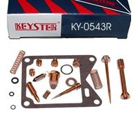 YAMAHA XV 1000 TR1 81 84 Vergaser Reparatursatz Dichtungen Schwimmernadel Düsen