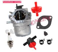 Vergaser Satz für Briggs & Stratton Motor 10-13 HP 799728 498027 499161 498231