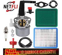 Vergaser Zündkerze für Briggs & Stratton 110402 110412 697422 Pinnenmotor Tuning