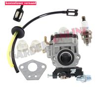 Vergaser Zündkerze für Monzana CT-M430-1 5in1 Multifunktionsschneider Motorsense