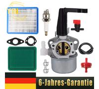 Vergaser Zündkerze Luftfilter für Briggs & Stratton 696065 697422 110412-0211-E1
