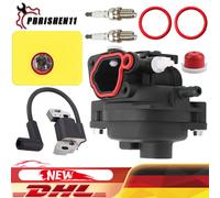 Vergaser & Zündspule Für Briggs & Stratton 799583 595656 593872 Motor 300E 450E