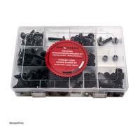 Verkleidungsschrauben OEM Style passend für Kawasaki ZZR1400 06-10 Titan