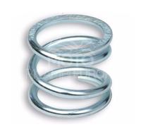 Kupplungsfeder Verstärkt Für piaggio ape - Vespa 50 - 125 Cc 293750 Malossi