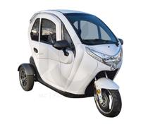Vigorous E-Moped Auto 45 km/h | 72V 52Ah | Straßenzulassung | Elektrofahrzeug