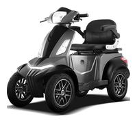 Vigorous Seniorenmobil Elektro-Roller 4-Rad Vista T408 6/25km/h 20/40Ah 1kW COC