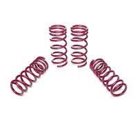 Vogtland Tieferlegungsfedern für Nissan Z 350, Typ Z33 Bj. 09.2003-12.2008