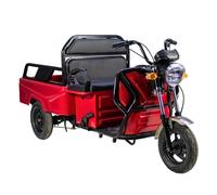 Volta Elektro Lastenrad APT4 Kompakt Lasten-Dreirad 25km/h, 1kW, COC