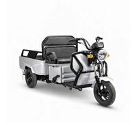 Volta Elektro Lastenrad APT4 Kompakt Lasten-Dreirad 25km/h, 1kW, COC