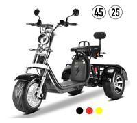 Volta Motors E-Trike CP-3 City Coco 25-45 KM/ H 2.0-3.0 kW Elektromobil Seniorenmobil