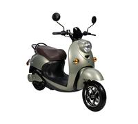 Volta VS2 Elektroroller 1500W 60V | E-Roller lindgrün | 53km Reichweite | LED