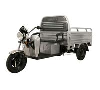 VOLTA VT5 ELEKTRO LASTEN-DREIRAD KABINEN-ROLLER OFFEN 45KMH 3900W 72V 45AH COC