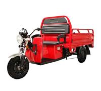 VOLTA VT5 ELEKTRO LASTEN-DREIRAD KABINEN-ROLLER OFFEN 45KMH 3900W 72V 60AH COC