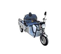 VOLTA VT5 mini Elektro Lastendreirad 25 Km/h Cargo Transporter Seniorenmobil