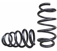 Linnepe Vorderachs-Schraubenfeder Typ LCS 4.0