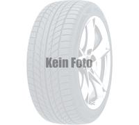 Vredestein Wintrac Pro 205/55 R17 91 H, Winterreifen