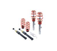 Eibach PSS65-15-021-15-22 Pro-Street-S