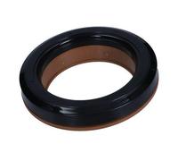 Wälzlager, Federbeinstützlager