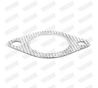 WALKER Dichtung Abgasrohr 80461 für KIA MITSUBISHI VOLVO HYUNDAI ISUZU JC 644 JM