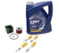 Wartungspaket Öl 4L + Ölfilter + Zündkerzen für Yamaha XJR 1200 XJR 1300 4PU RP02 RP06 RP10 RP02 Baujahr 1995-2006