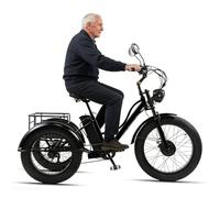Wasd3Pods Fat-Tire-Dreirad Für Erwachsene Mit Korb - 20-Zoll-Elektro-Dreirad Mit Carbonstahlrahmen - 3-Rädriges Freizeitrad - Elektrisches Lastendreirad Für Senioren Black-noseat