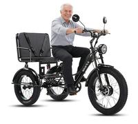 Wasd3Pods Fat-Tire-Dreirad Für Erwachsene Mit Korb - 20-Zoll-Elektro-Dreirad Mit Carbonstahlrahmen - 3-Rädriges Freizeitrad - Elektrisches Lastendreirad Für Senioren Black-withseat
